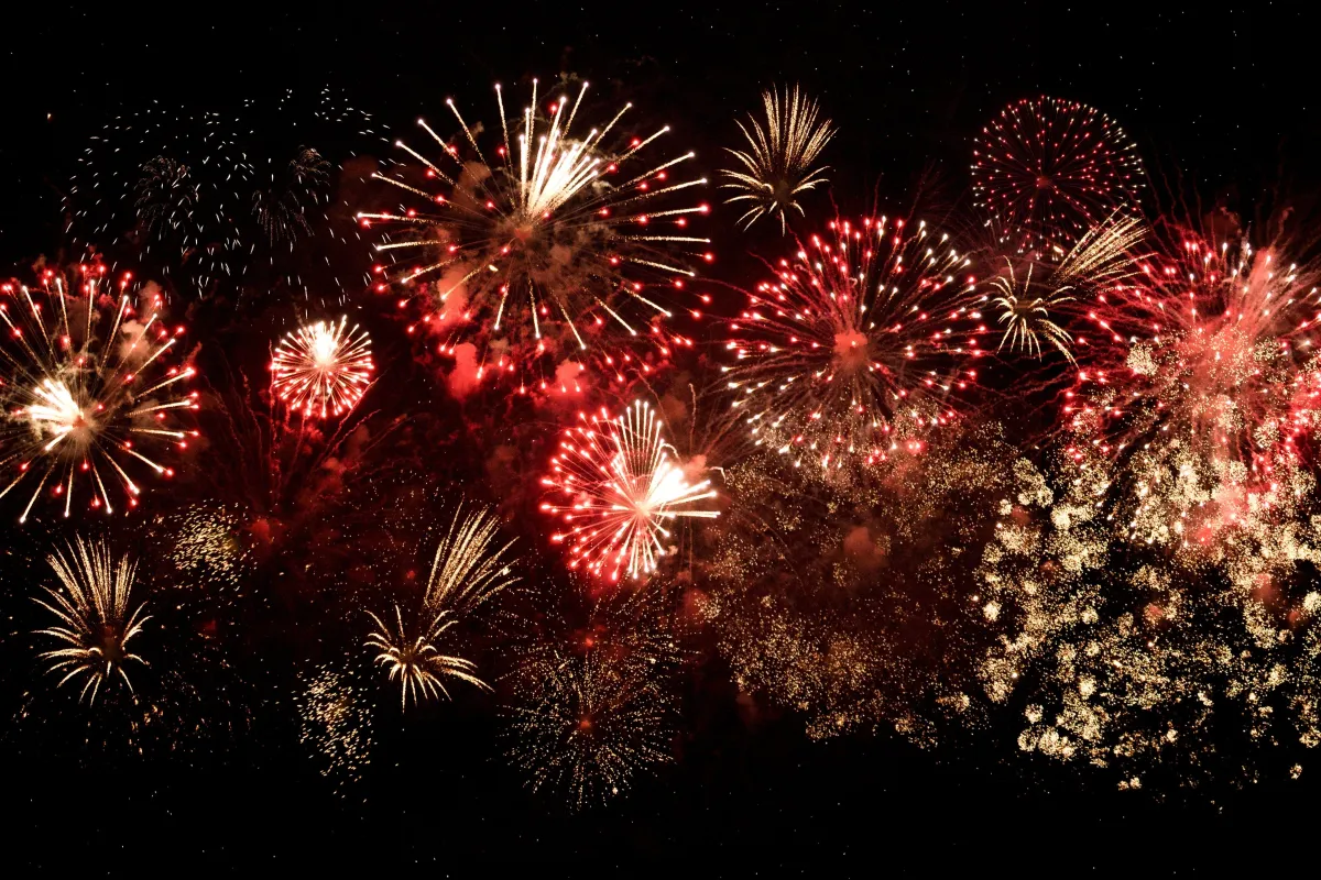 Vibrant fireworks display against a dark night sky